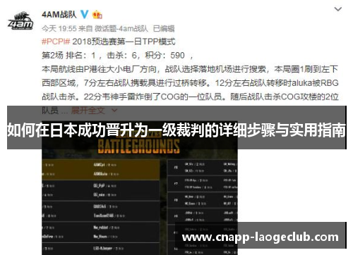 如何在日本成功晋升为一级裁判的详细步骤与实用指南