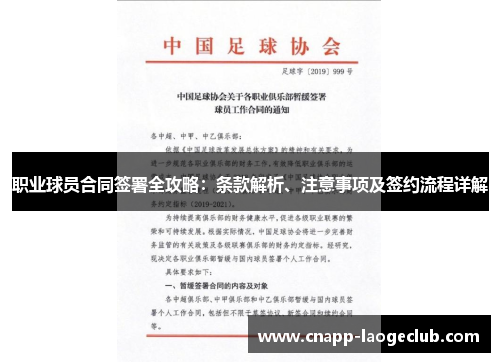 职业球员合同签署全攻略：条款解析、注意事项及签约流程详解