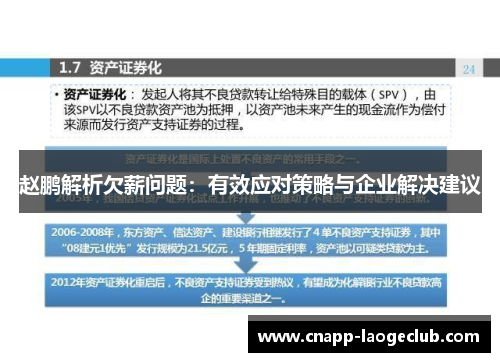 赵鹏解析欠薪问题：有效应对策略与企业解决建议