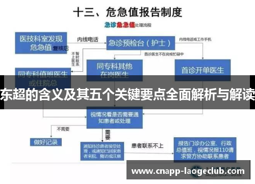 东超的含义及其五个关键要点全面解析与解读