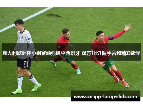 意大利欧洲杯小组赛顽强逼平西班牙 双方1比1握手言和精彩纷呈 意大利欧洲杯小组赛顽强逼平西班牙 双方1比1握手言和精彩纷呈