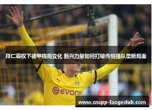 拜仁霸权下德甲格局变化 新兴力量如何打破传统强队垄断局面