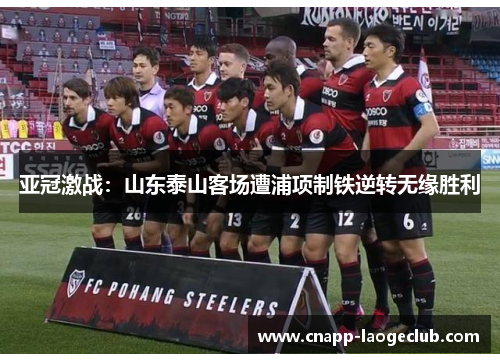 亚冠激战:山东泰山客场遭浦项制铁逆转无缘胜利 亚冠激战:山东泰山客场遭浦项制铁逆转无缘胜利