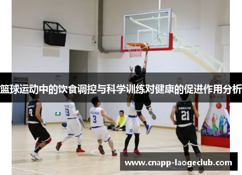 篮球运动中的饮食调控与科学训练对健康的促进作用分析