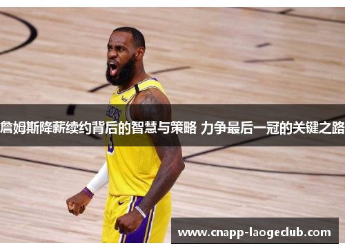 詹姆斯降薪续约背后的智慧与策略 力争最后一冠的关键之路