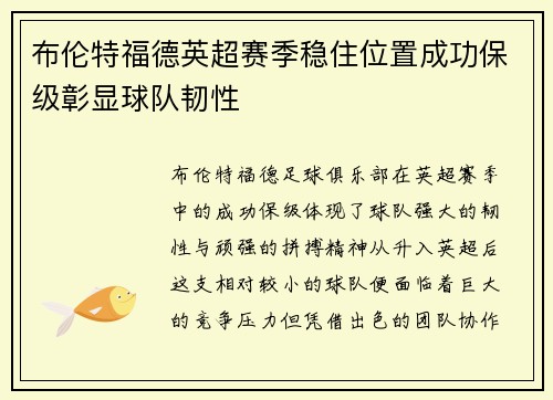 布伦特福德英超赛季稳住位置成功保级彰显球队韧性